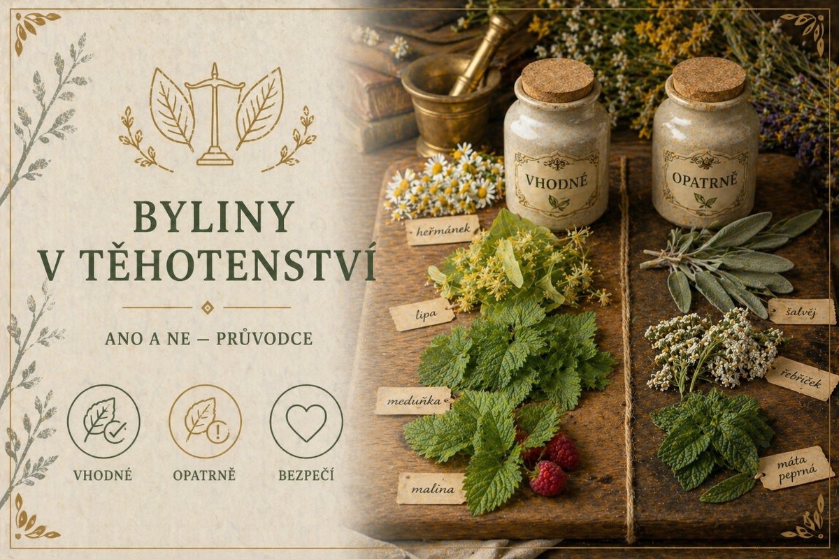 Byliny vhodné a nevhodné v těhotenství