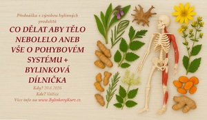 bylinkova akce valtice 20 6 2026 co delat aby telo nebolelo aneb vse o pohybovem systemu bylinkova dilnicka