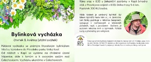 bylinkova prochazka vlada vytasek velky kosir 8 5 2025
