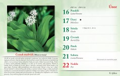 bylinkovy-kalendar-2026--10