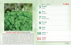 bylinkovy-kalendar-2026--4
